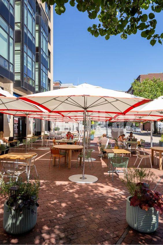 Çətirlərin sifarişi