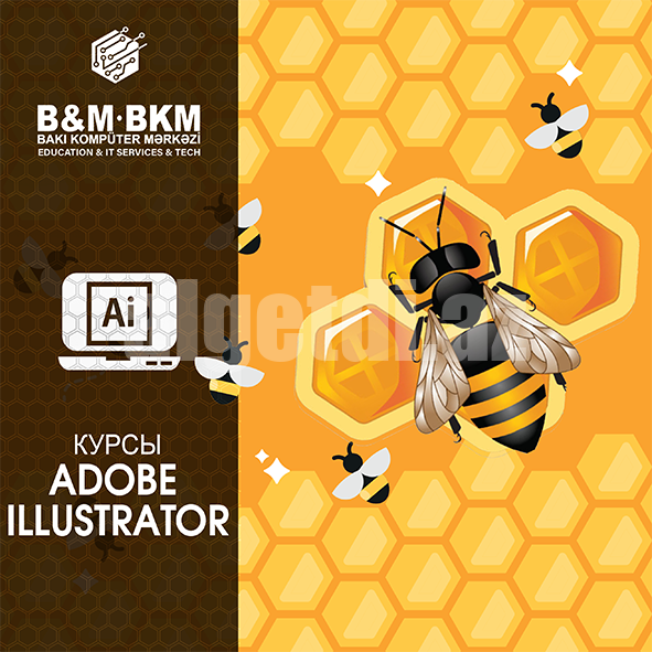 Курсы Adobe Illustrator