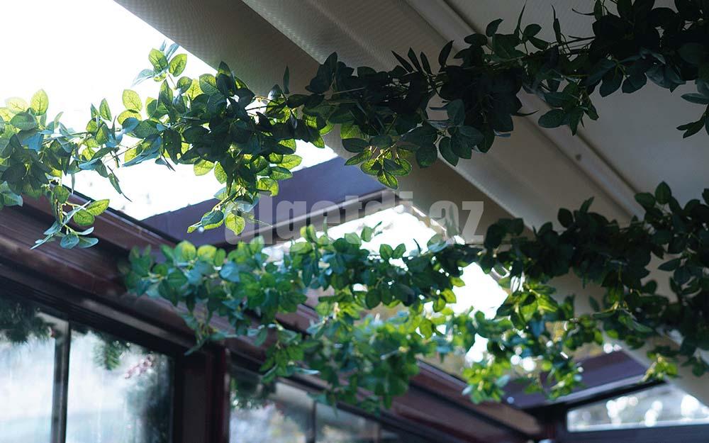 Perqola sistemlərinin qurulması