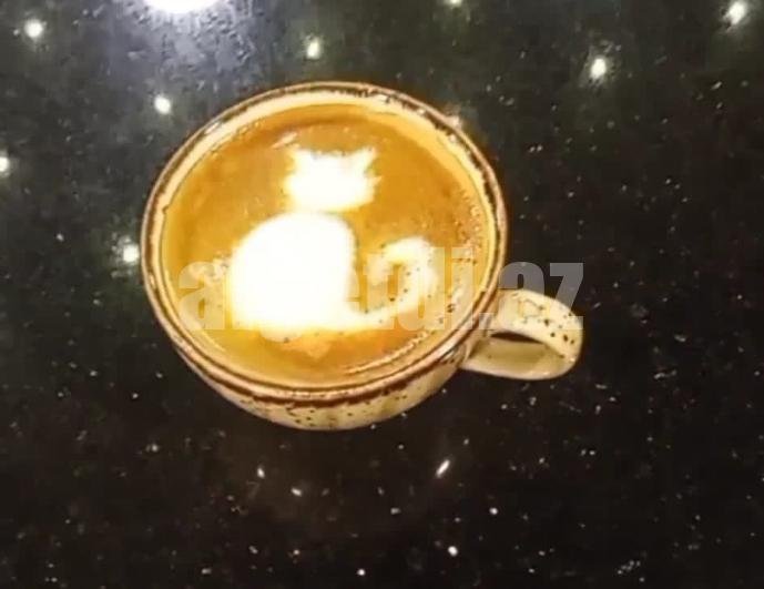 Barista işi