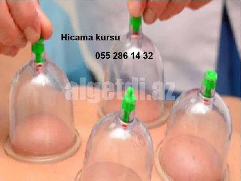 Hicama kursu