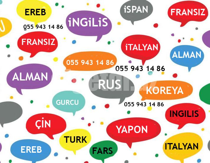 Xarici dil kurslari bütün dillər bir arada
