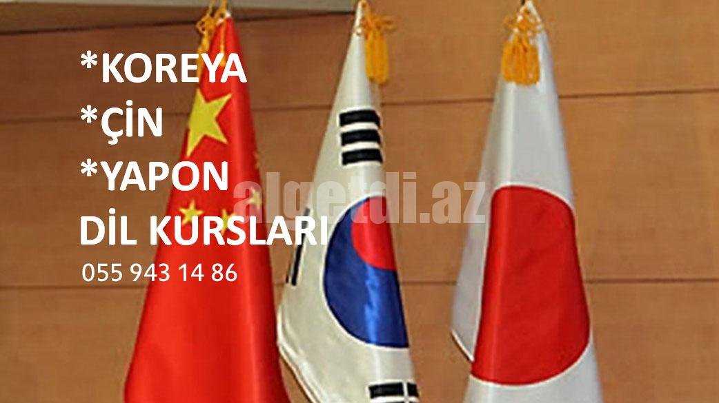 Koreya, Çin, Yapon dili kursları
