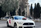 mustang bey gelin toy masini sifarisi