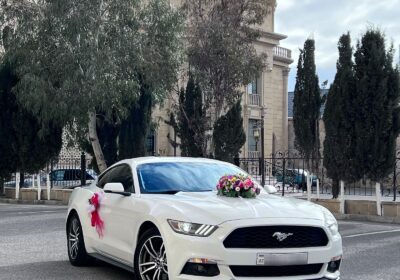 00eb5b9c-bd73-4c8d-82c6-f4e8cc9c3e56