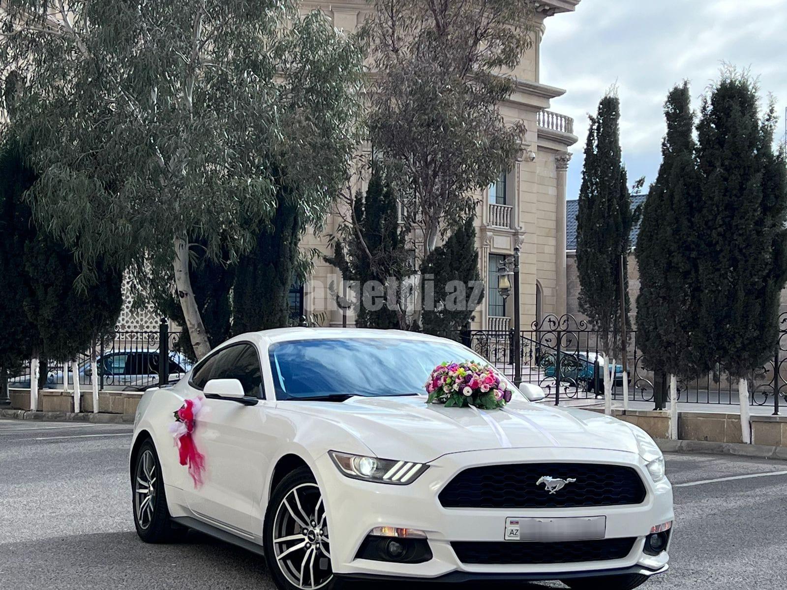mustang bey gelin toy masini sifarisi