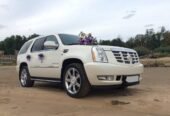 cadillac bey gelin toy masini sifarisi