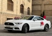 mustang bey gelin toy masini sifarisi