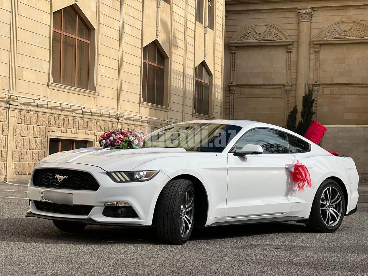 mustang bey gelin toy masini sifarisi