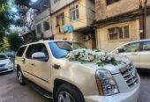 cadillac bey gelin toy masini sifarisi