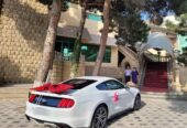 mustang bey gelin toy masini sifarisi
