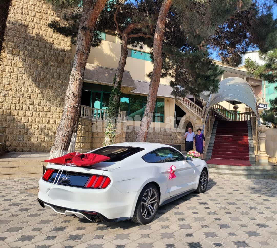 mustang bey gelin toy masini sifarisi