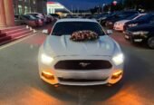 mustang bey gelin toy masini sifarisi