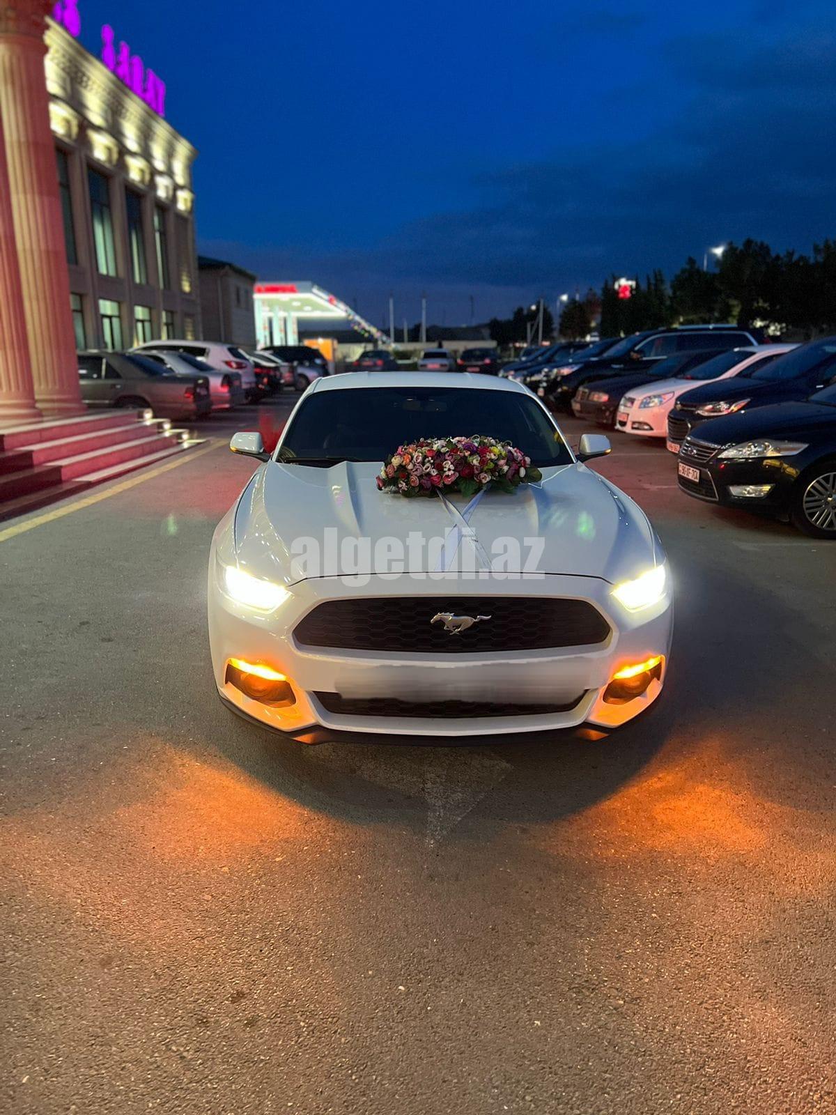 mustang bey gelin toy masini sifarisi