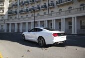 mustang bey gelin toy masini sifarisi