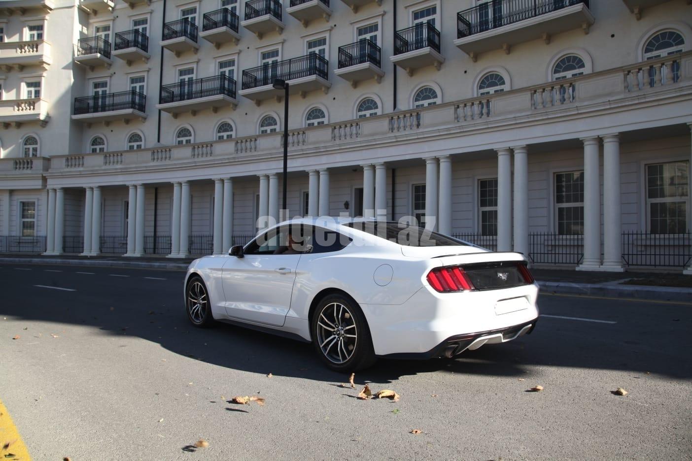 mustang bey gelin toy masini sifarisi