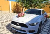 mustang bey gelin toy masini sifarisi