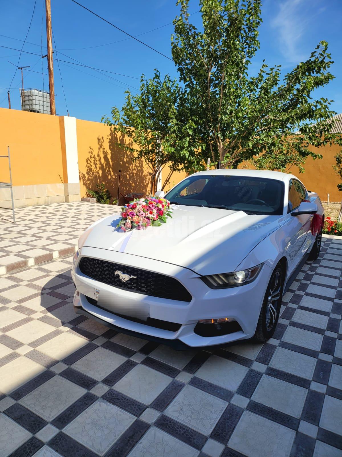 mustang bey gelin toy masini sifarisi