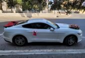 mustang bey gelin toy masini sifarisi