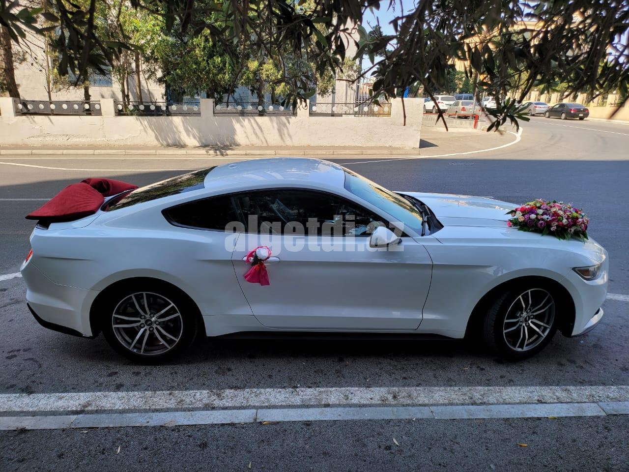 mustang bey gelin toy masini sifarisi