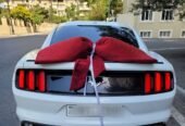 mustang bey gelin toy masini sifarisi