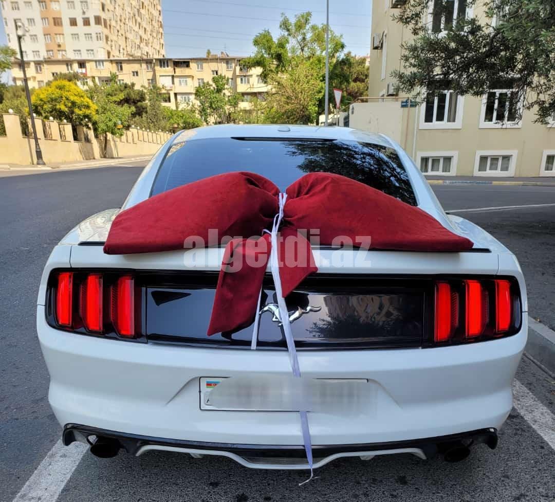 mustang bey gelin toy masini sifarisi