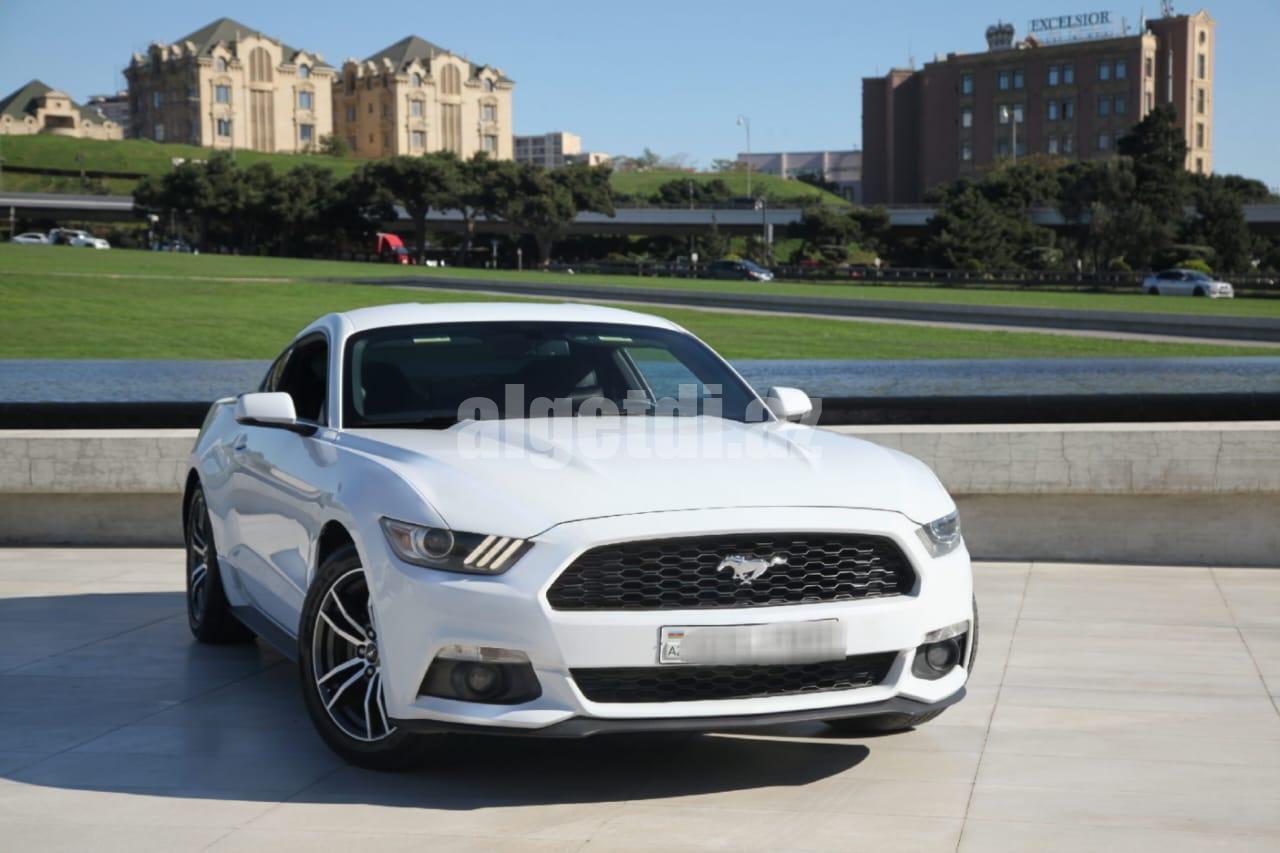 mustang bey gelin toy masini sifarisi