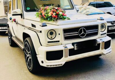 8b1db447-3308-47dc-a0f4-19376e9f0456