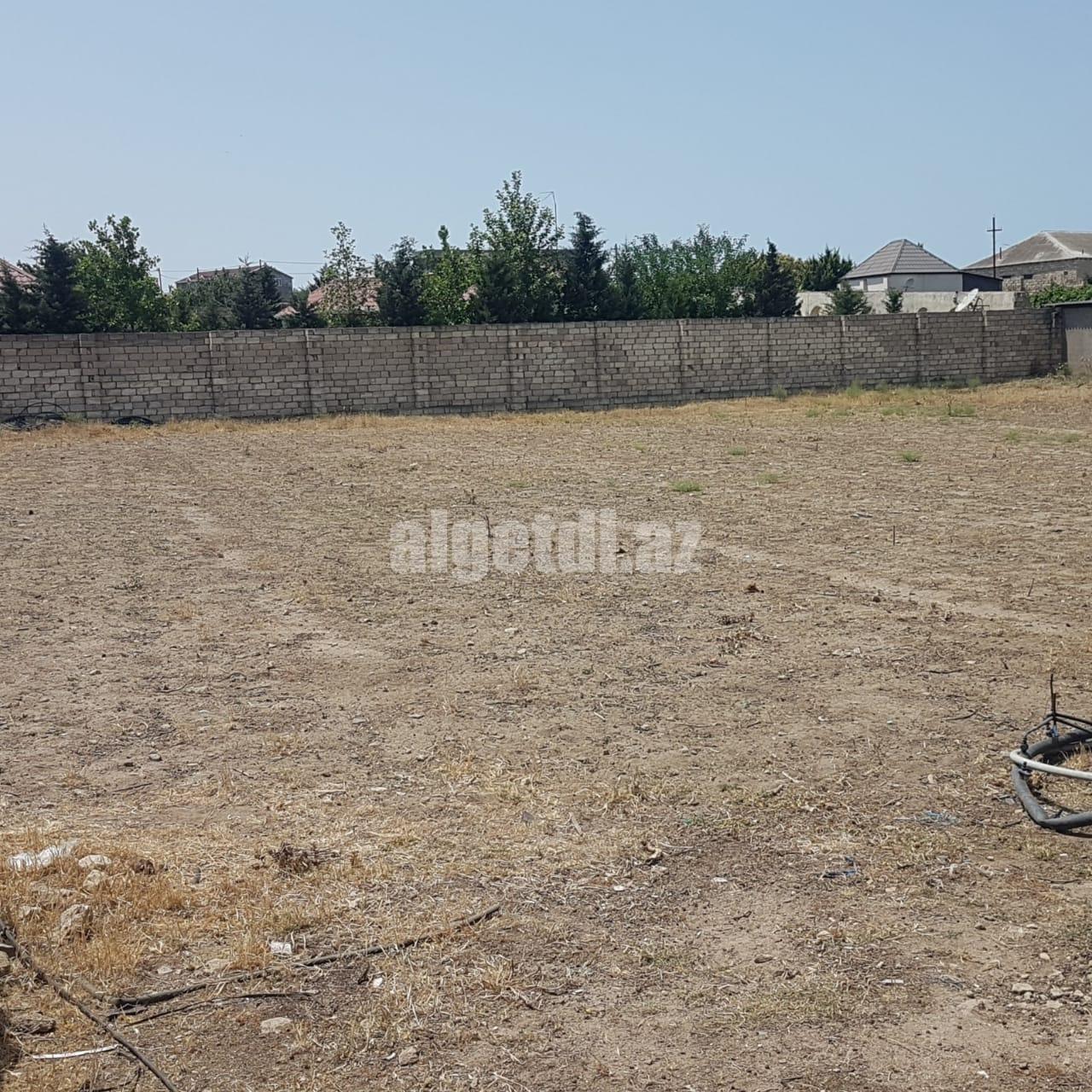 Nardaranda bağlarında 25 sot torpag