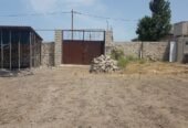 Nardaranda bağlarında 25 sot torpag