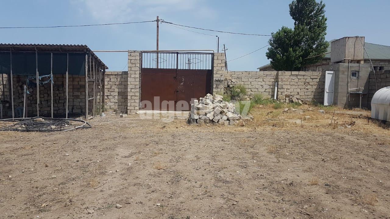 Nardaranda bağlarında 25 sot torpag