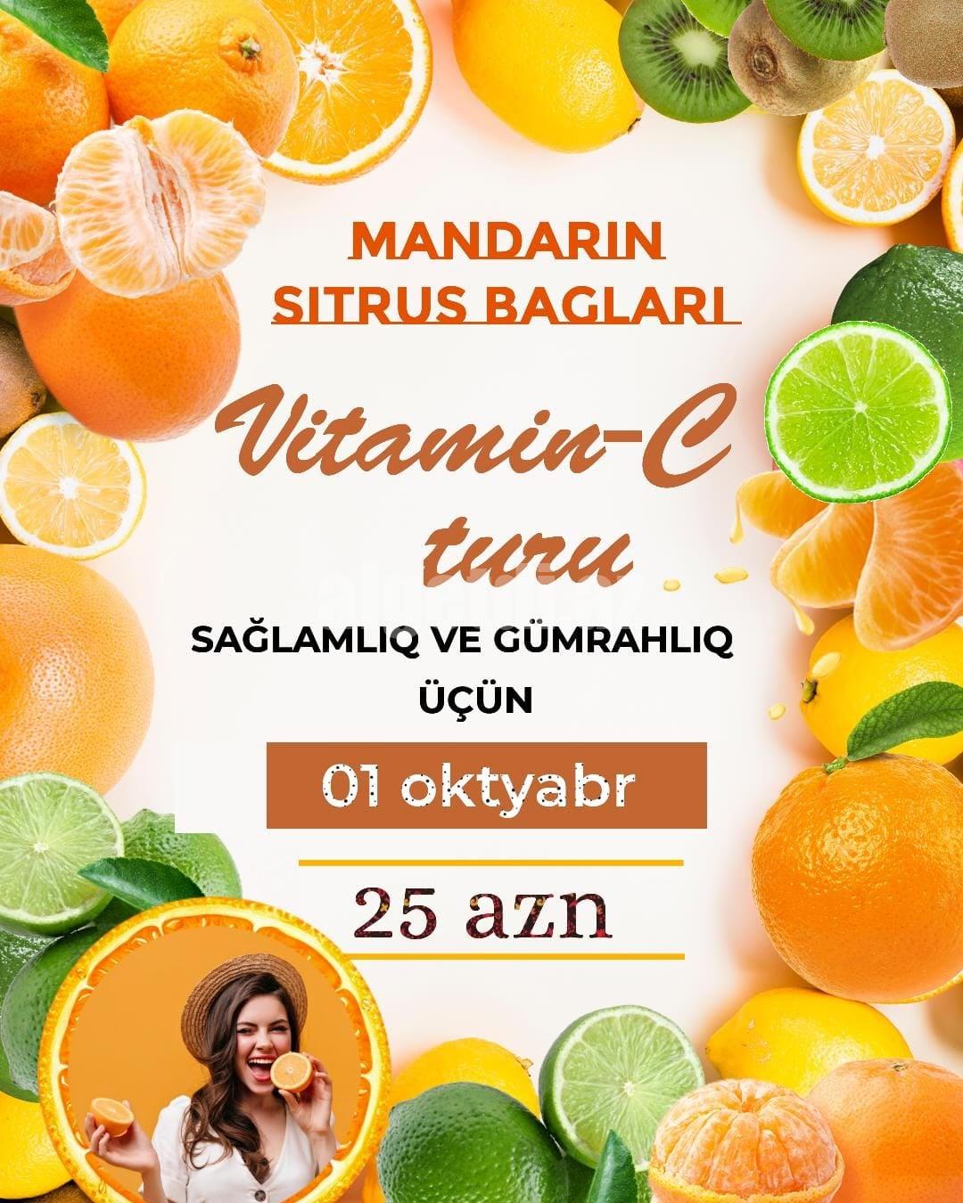 Mandarin Sitrus turu