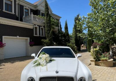 ba7fb60c-0e47-423a-af13-e9218c80c4e9