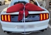 mustang bey gelin toy masini sifarisi