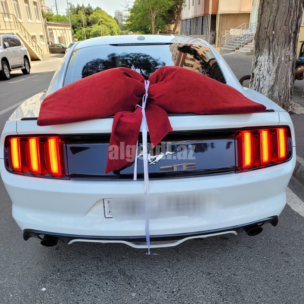 mustang bey gelin toy masini sifarisi