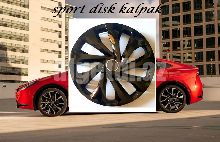 renault megane/kia rio diskqapagi