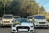 mutang kabriolet bey gelin toy masini sifarisi