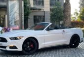 mutang kabriolet bey gelin toy masini sifarisi