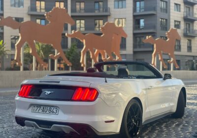 8aad68da-f749-4db9-ac2d-e3d29a4adbd4