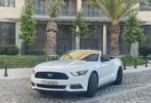 mutang kabriolet bey gelin toy masini sifarisi
