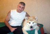 İtlərə qulluq və təlim