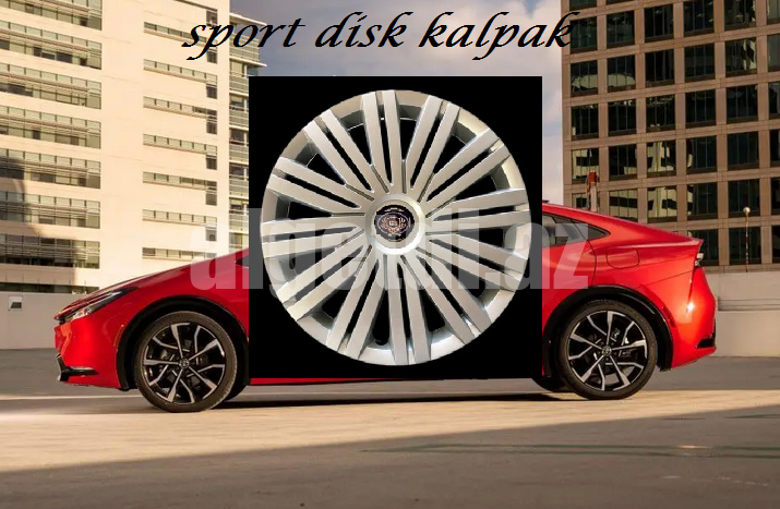 disk qapagi kalpak r14/r15/r13