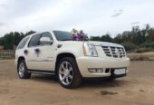 cadillac bey gelin toy masini sifarisi