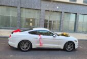 mustang bey gelin toy masini sifarisi