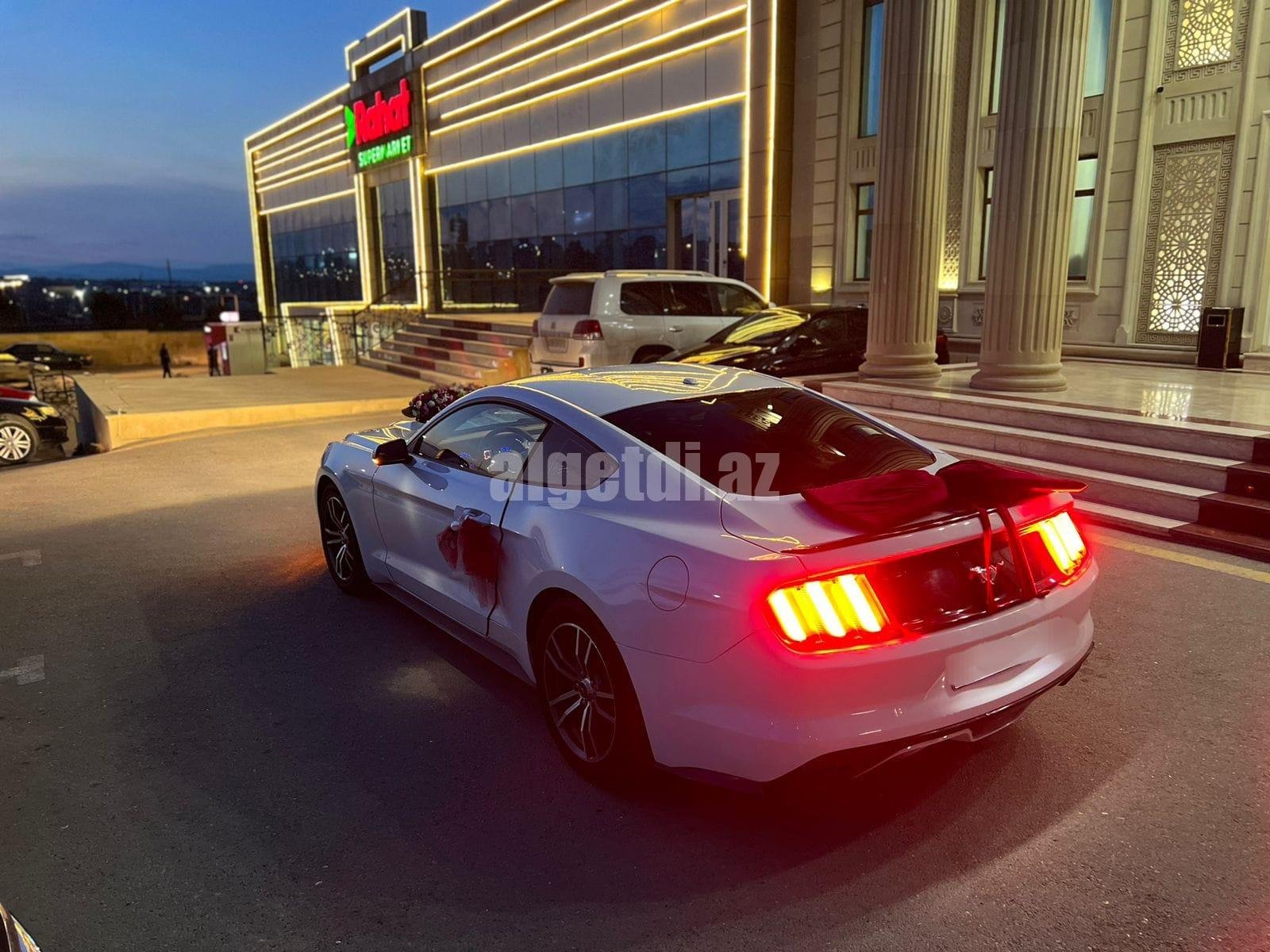 mustang bey gelin toy masini sifarisi