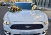 mustang bey gelin toy masini sifarisi