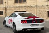 mustang bey gelin toy masini sifarisi