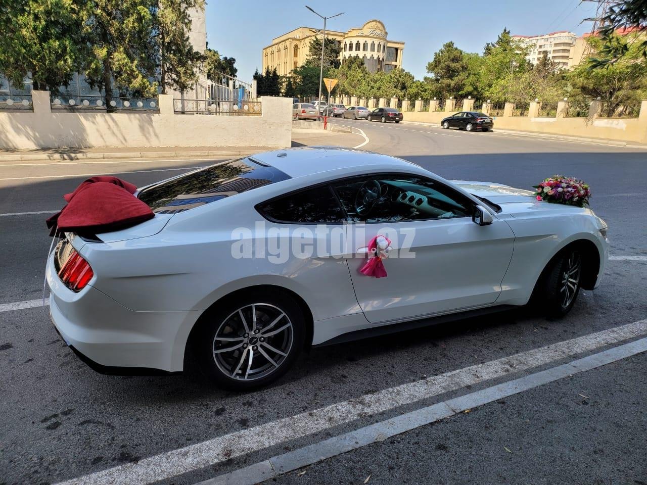 mustang bey gelin toy masini sifarisi