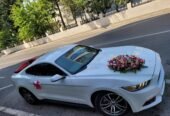 mustang bey gelin toy masini sifarisi