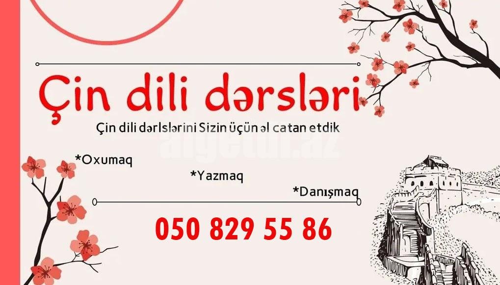 Çin dili kursları fərdi individual dərslər